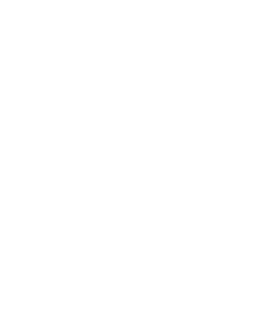 Logo_h_white_web