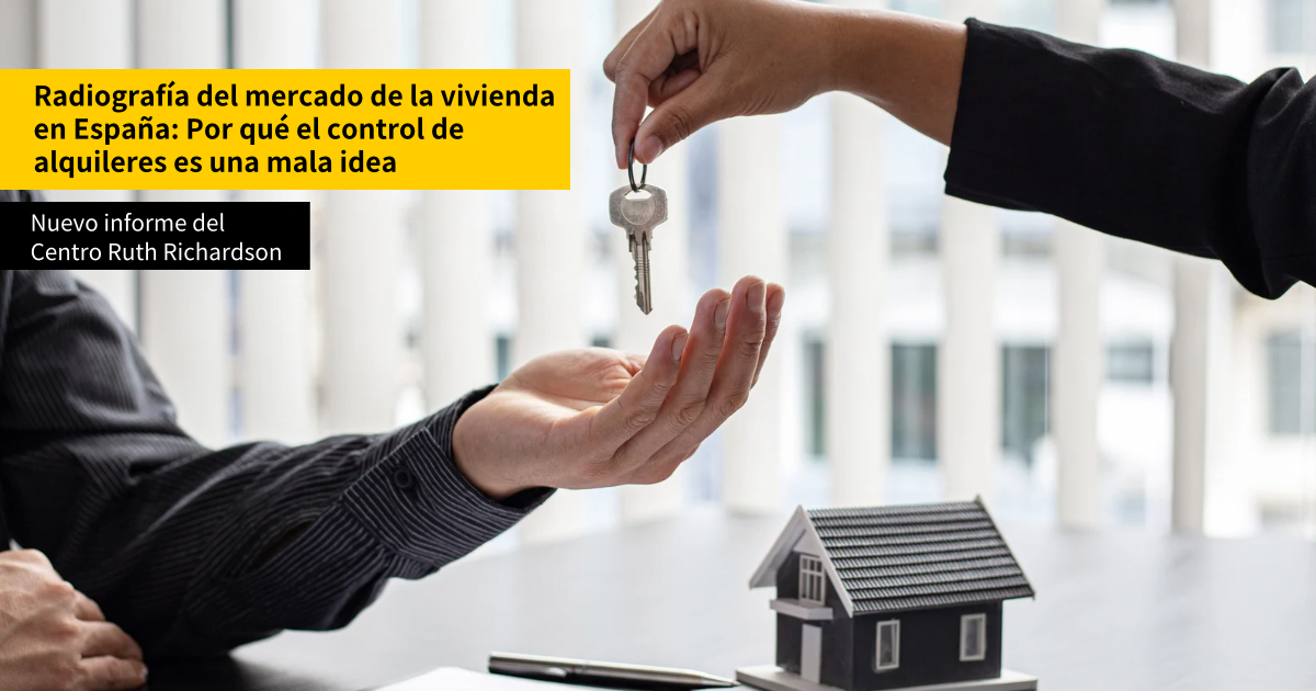 Previsualización del informe