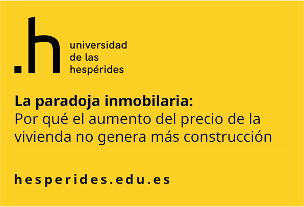 Previsualización del informe