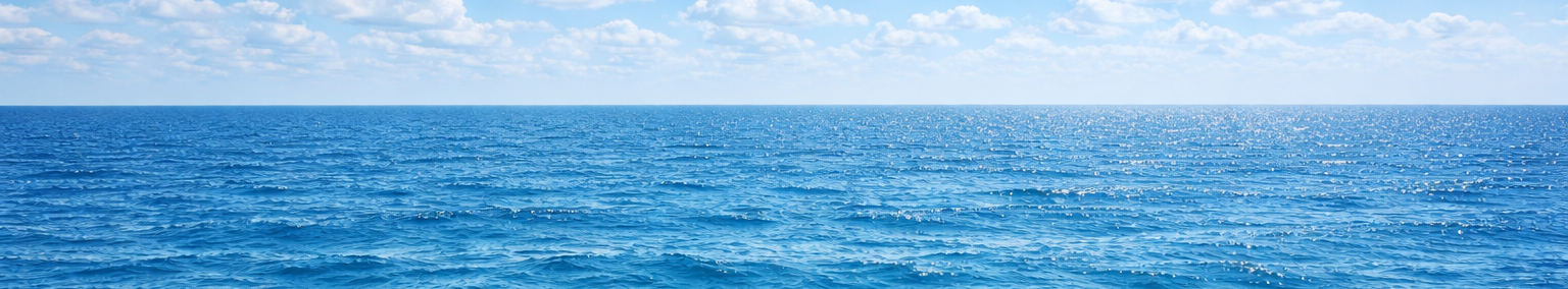 Mar panorámico