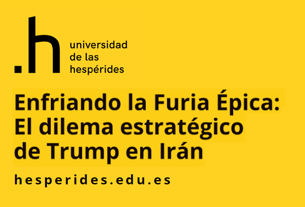 Previsualización del informe