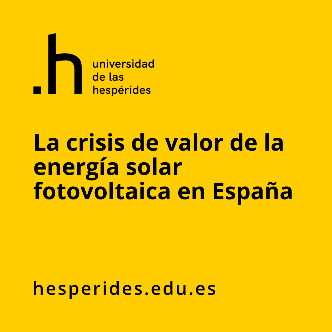 Previsualización del informe